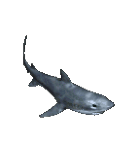 鯊魚 遊戲圖示